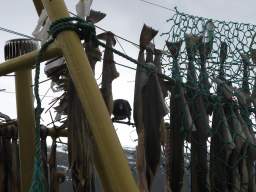 Stockfisch